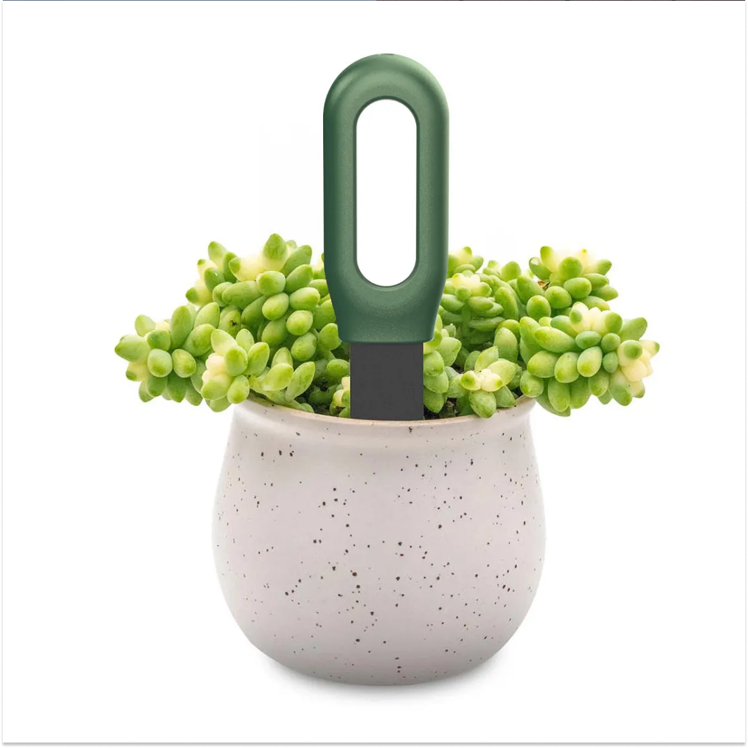 Candeo Zigbee Soil Sensor – Smart Plant Monitor